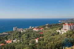 MG_9262