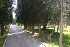 20140320_123509
